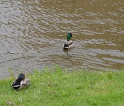 SD05May062